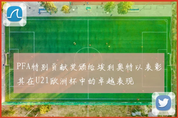 PFA特别贡献奖颁给埃利奥特以表彰其在U21欧洲杯中的卓越表现
